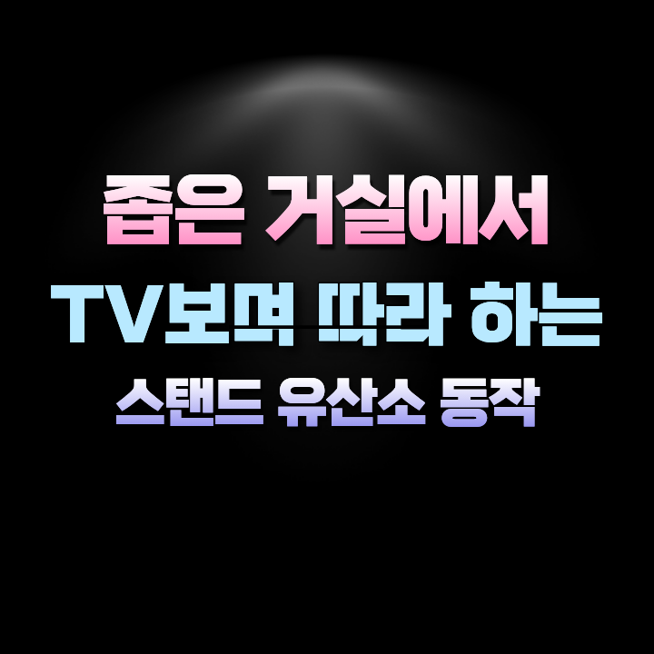 좁은거실에서TV보며따라하는스탠드유산소동작