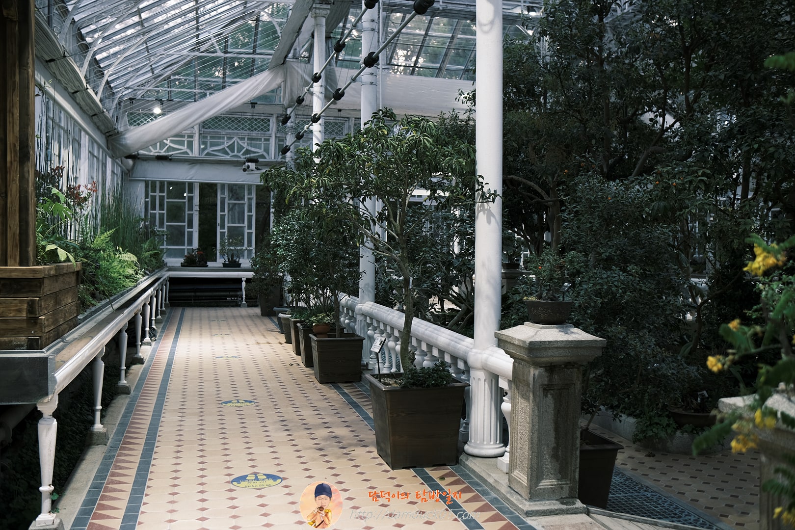창경궁 대온실 실내
