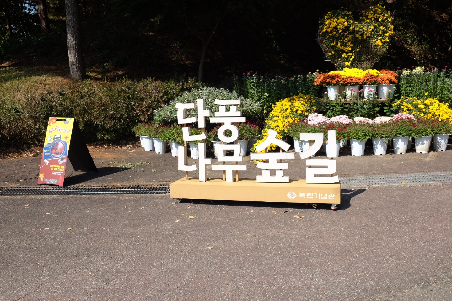 천안 독립기념관 단풍나무숲길