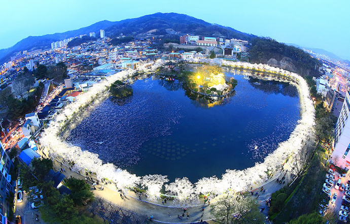 출처: 영남일보