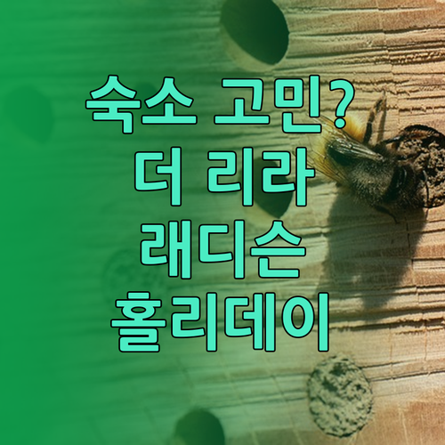 더 리라 하이데라바드 vs 래디슨 블