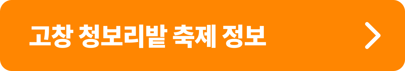 고창 청보리밭축제 정보