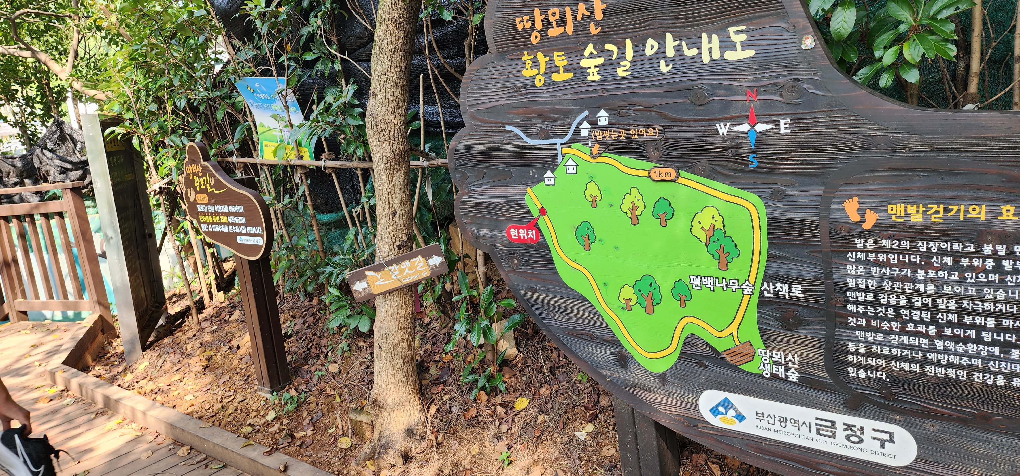 오륜대 땅뫼산 황토숲길 맨발걷기9