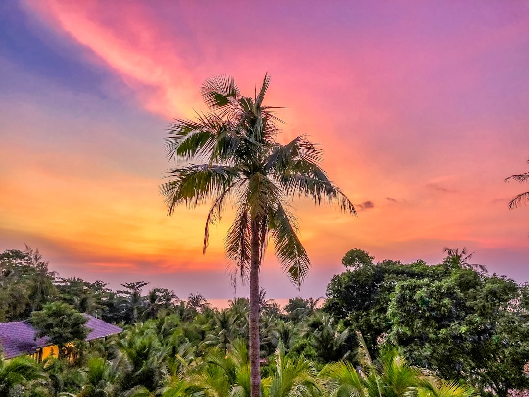 Phu Quoc