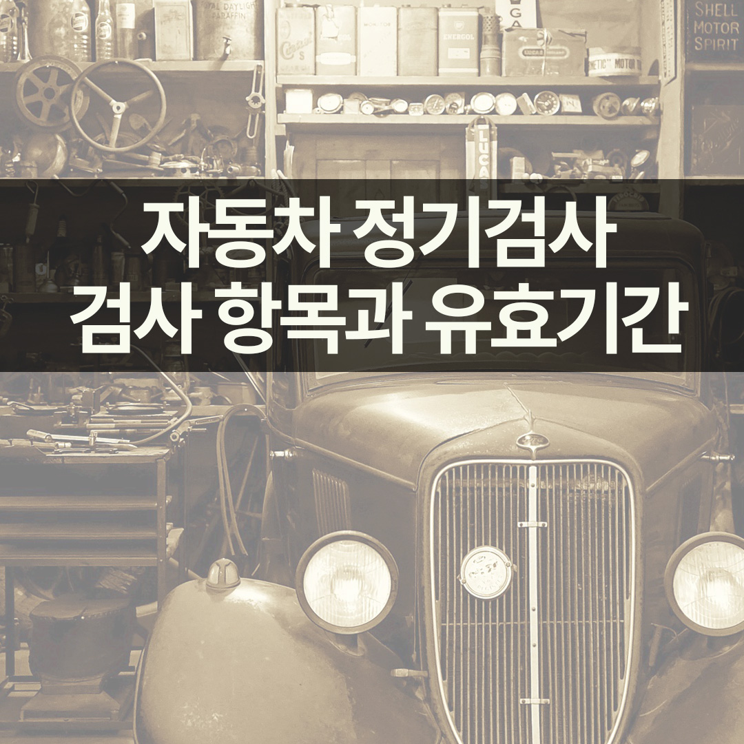 자동차 정기검사 검사 항목과 유효기간