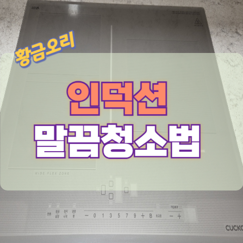 인덕션 청소법 3가지와 주의점