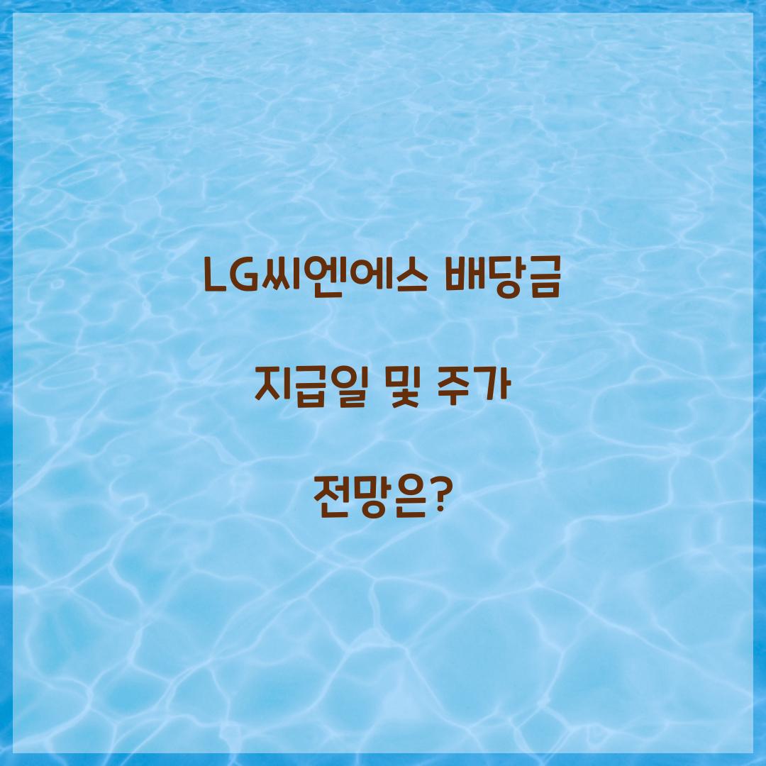 LG씨엔에스 배당금 지급일