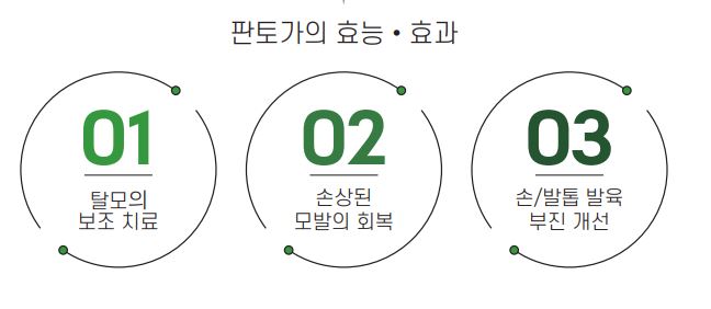 판토가-성분-효능