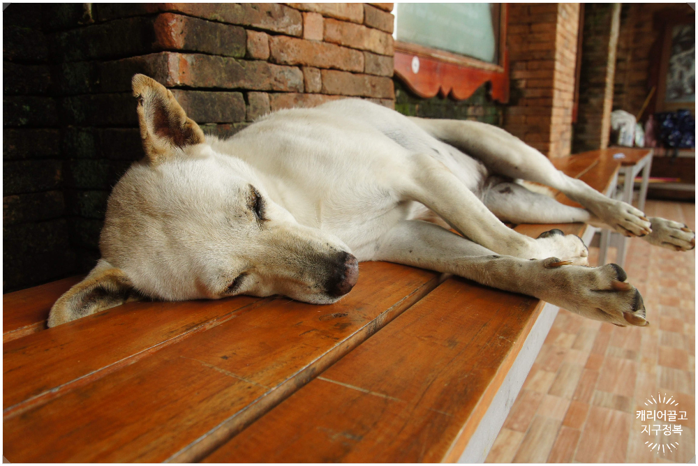 왓 프라탓 도이 수텝