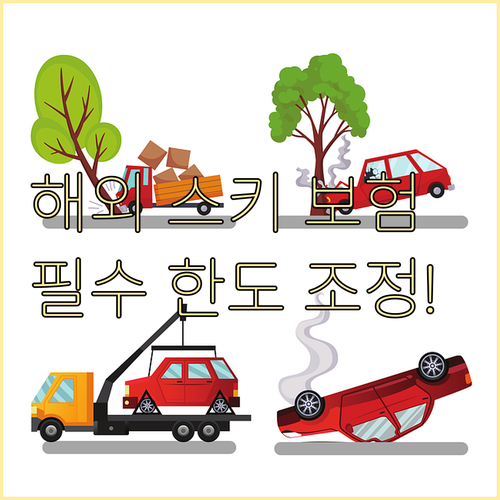 해외 스키 부상 시 보장받는 필수 담..