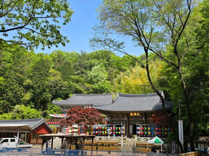홍룡폭포