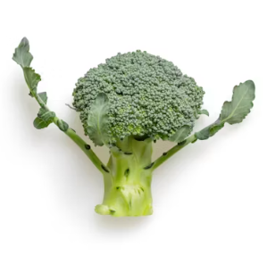 비만에 좋은 음식 영양제 식단