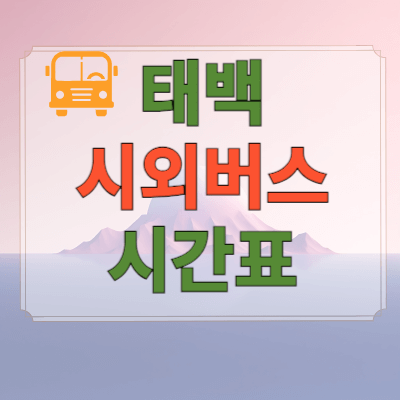 태백시외버스터미널시간표