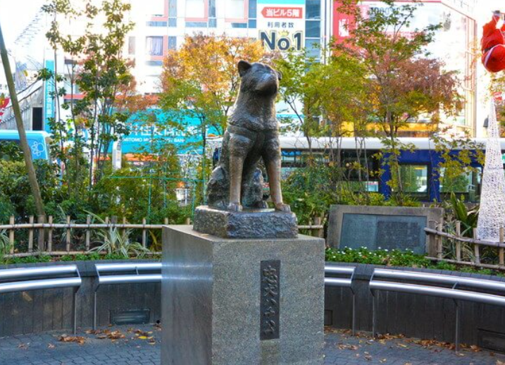 도쿄 여행 코스