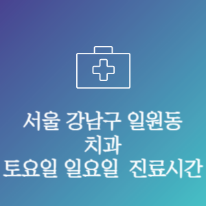 서울 강남구 일원동 치과 주말 토요일 일요일 문여는 병원 진료시간