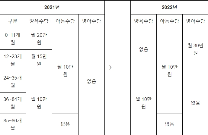 2022년 영아수당 아동수당 양육수당