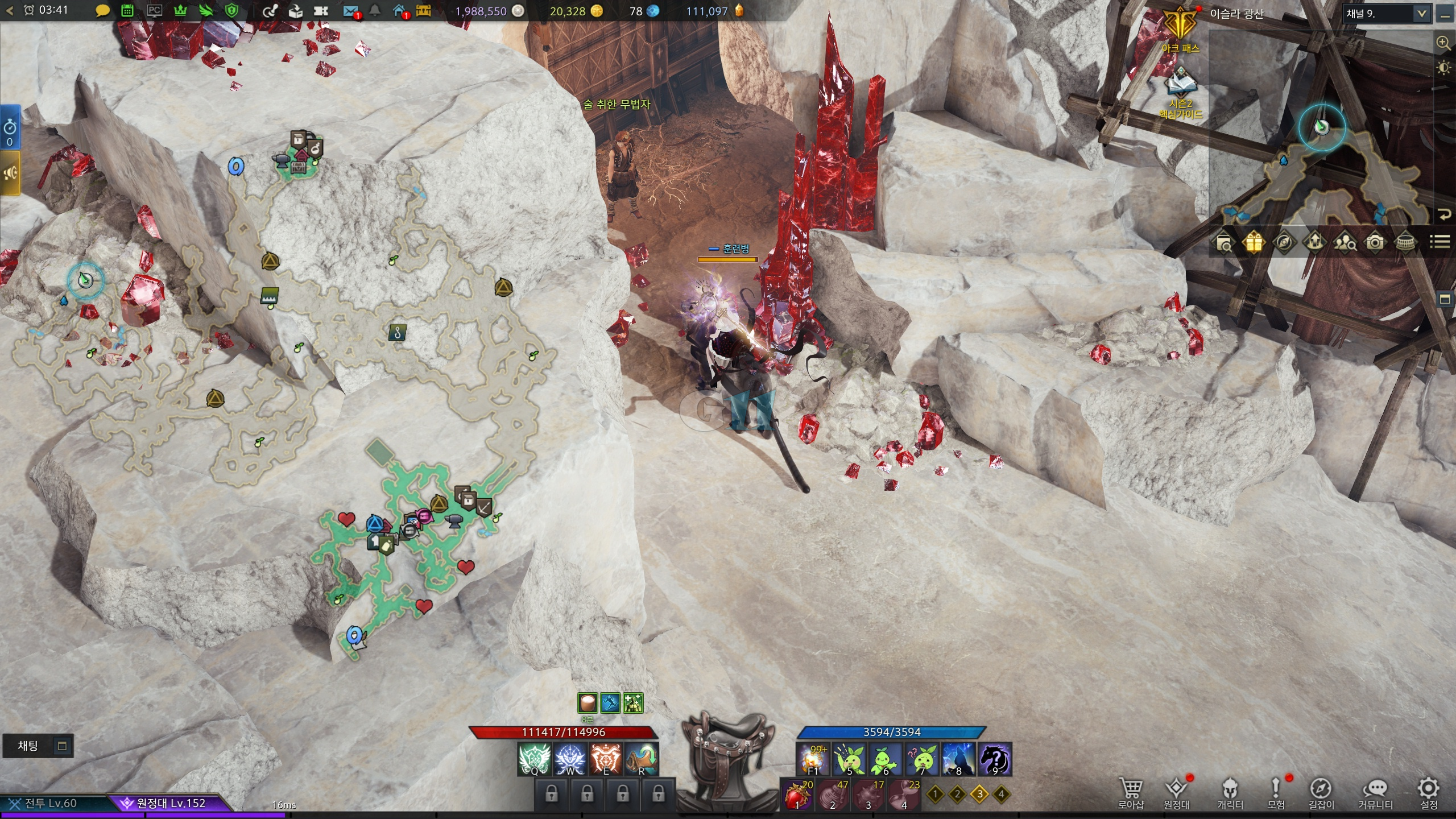 어금니의강 모코코