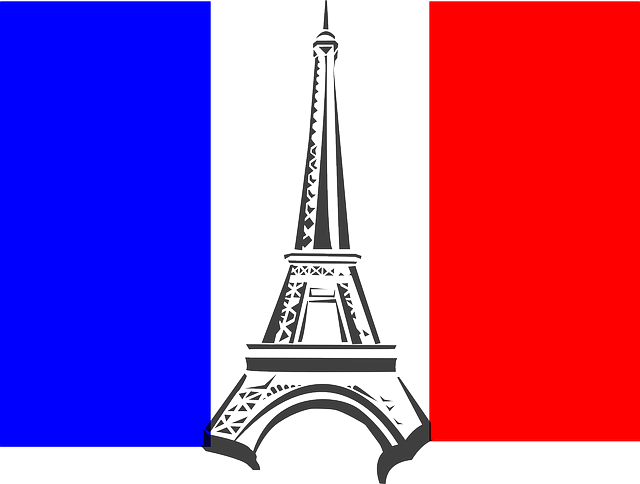 2024-파리-올림픽-일정,종목