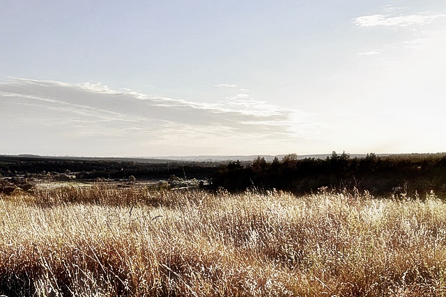 숲나들e 이용 방법