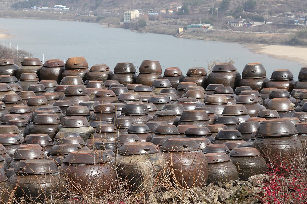 메주콩심는 시기와 방법