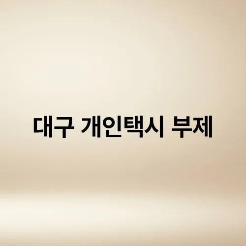 대구 개인택시 부제