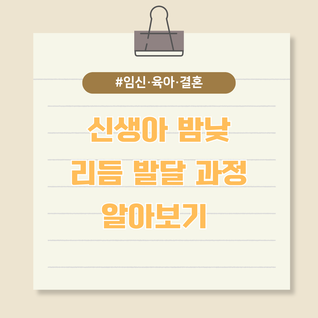 신생아 밤낮 리듬 발달 과정 알아보기