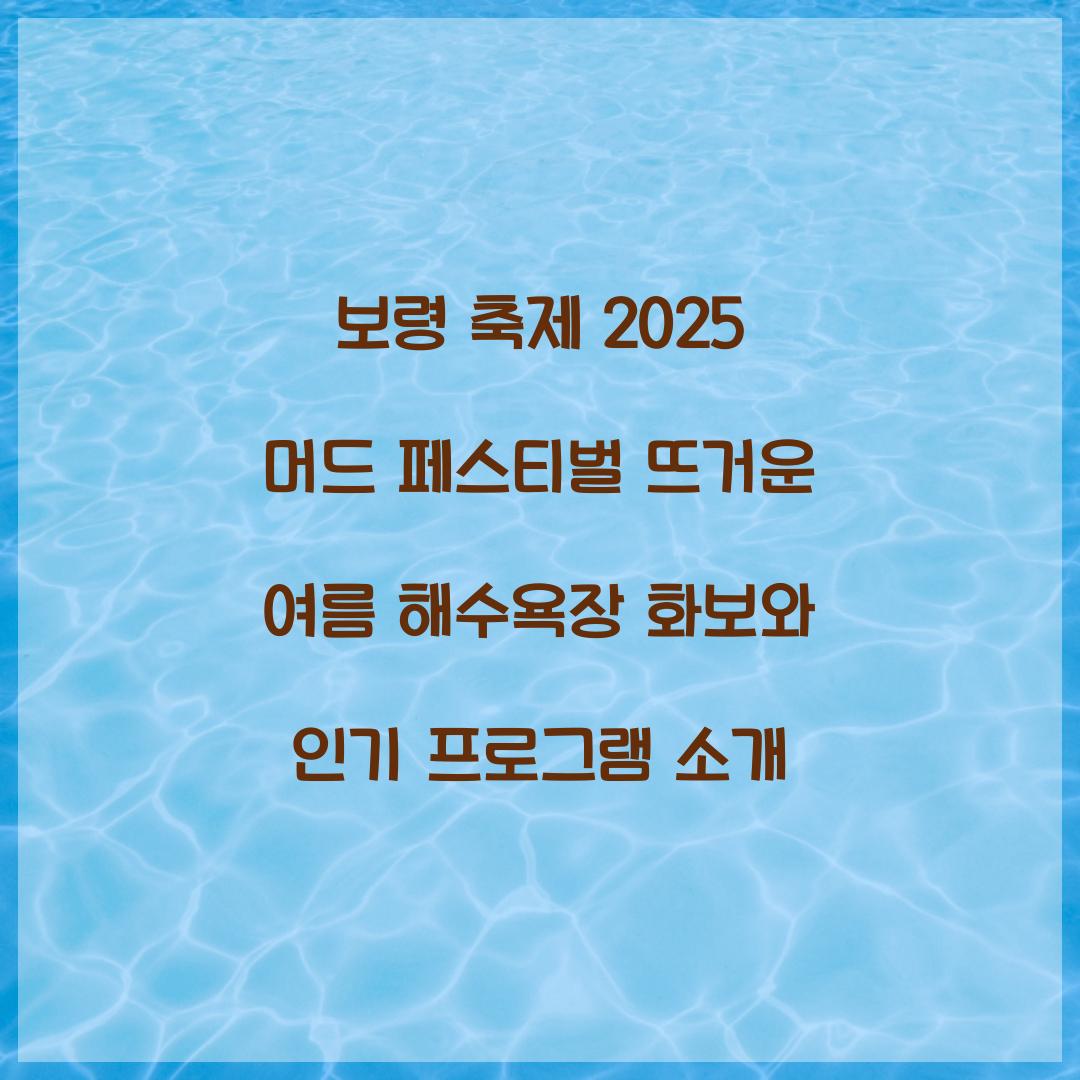 보령 축제 2025 머드 페스티벌