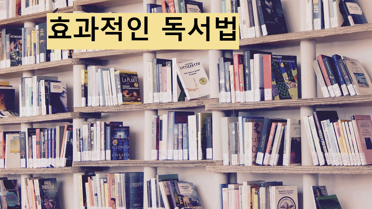 효과적인 독서법