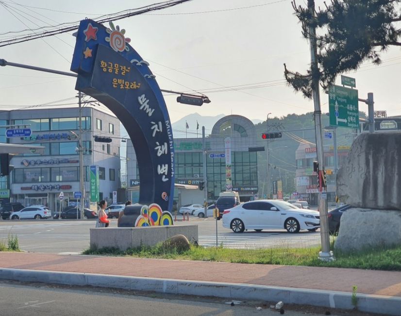 물치항회센터