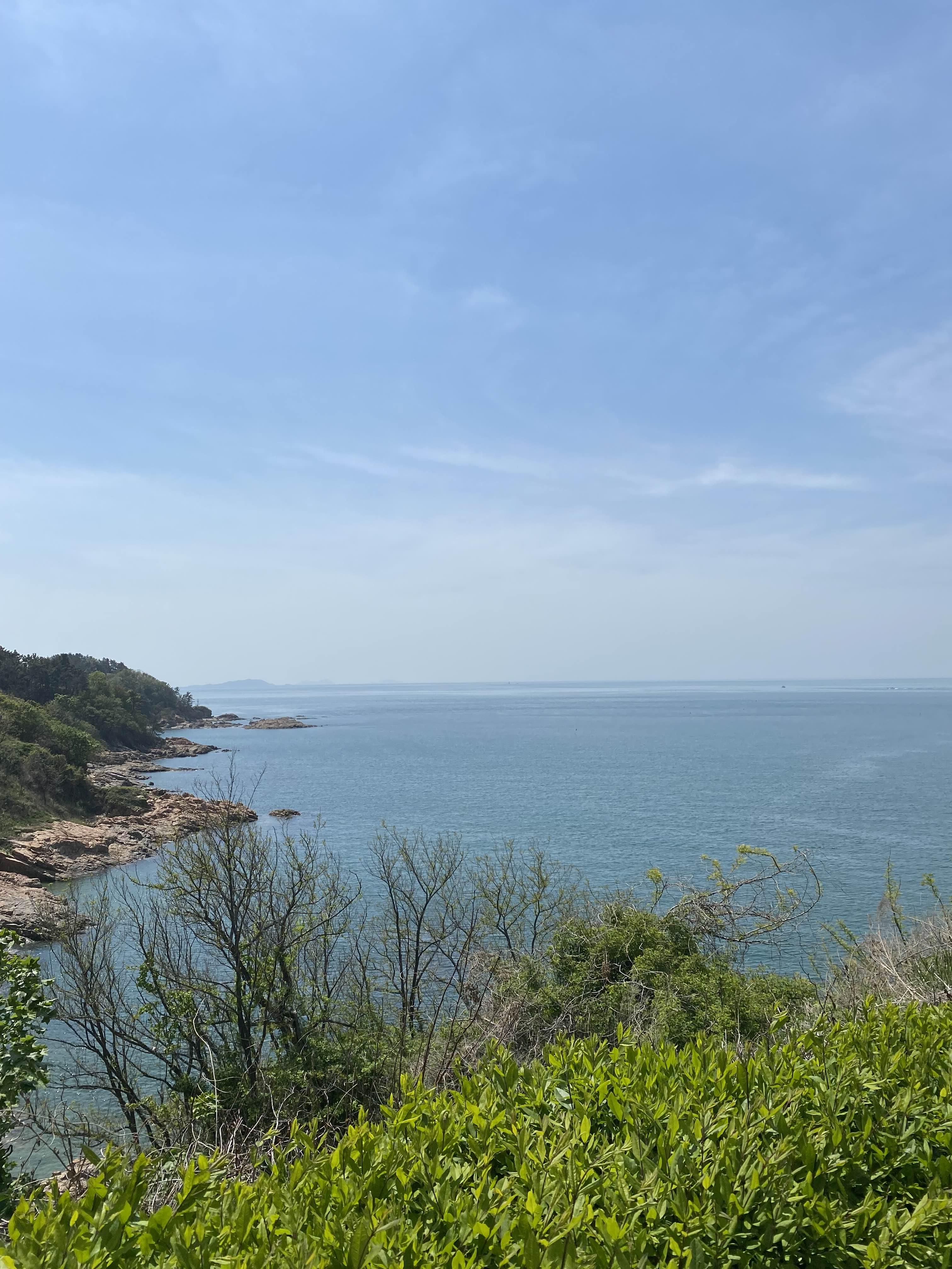 alt 태그