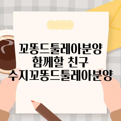 꼬똥드툴레아분양 함께할 친구 수지꼬똥드툴레아분양