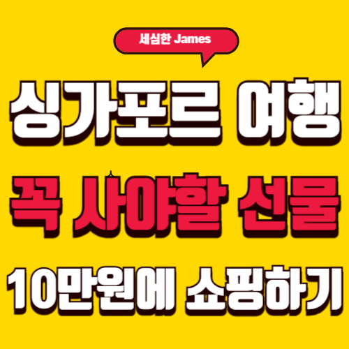 싱가포르 여행시 꼭 사야할 선물 10만원에 쇼핑하기(2025년)
