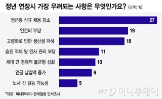 정년연장법안 발의 정부안 내용
