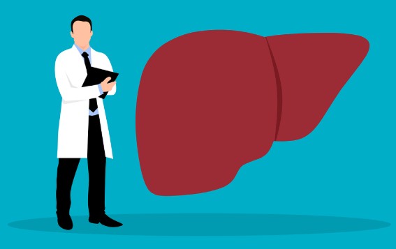 간암 초기증상과 원인, 미리 예방하고 관리하는 방법