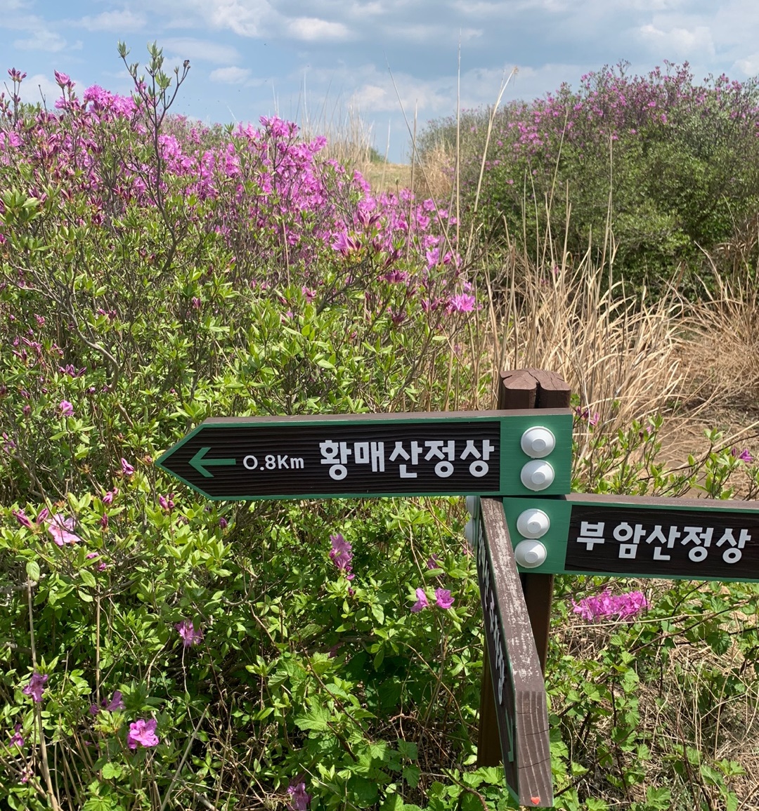 0.8km 남은 황매산 정상