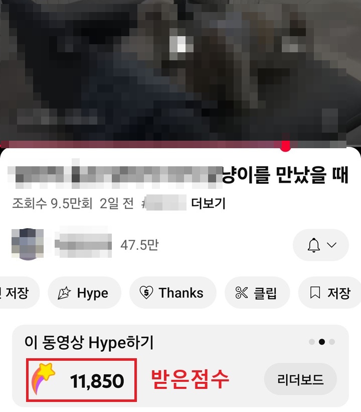 화면하단에 점수 보임