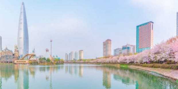 2025 석촌호수 벚꽃축제