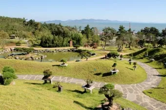 압해도 분재공원 근처 선착장에서의 낚시 농어와 도다리 포인트 소개 완벽 낚시터_12