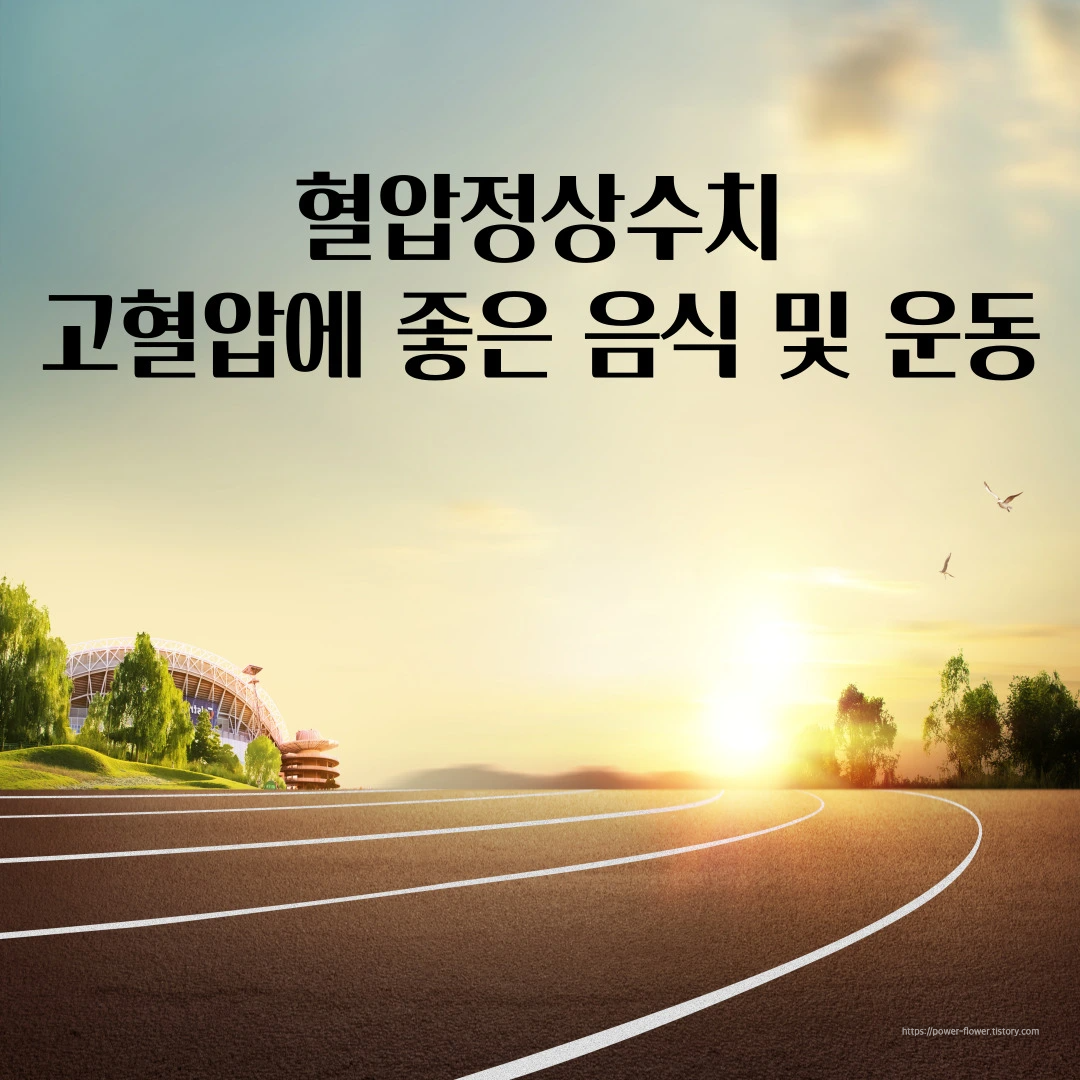 갈색-트랙-황금색-햇빛