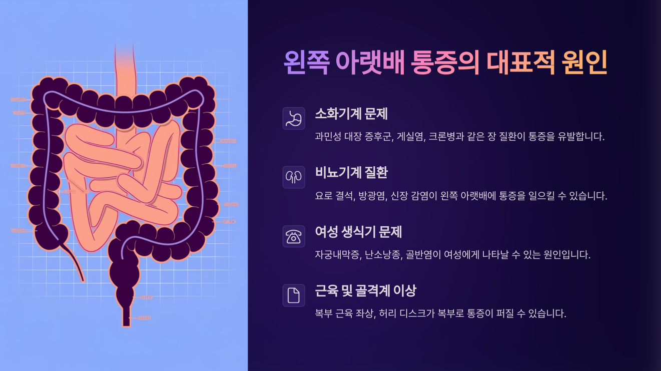 왼쪽 아랫배 통증 2