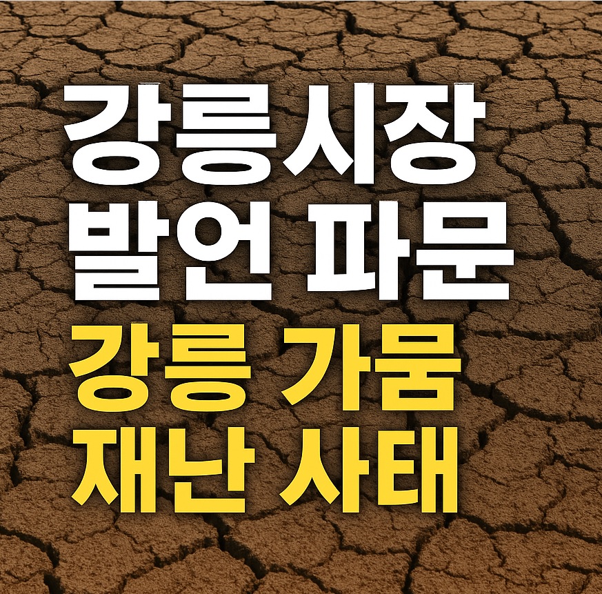 강릉 가뭄