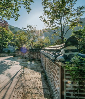 화담숲 전통담장길