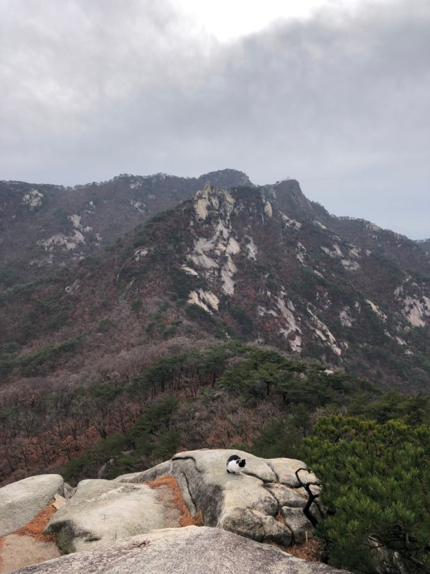 서울 근교 등산하기 좋은 산 베스트10