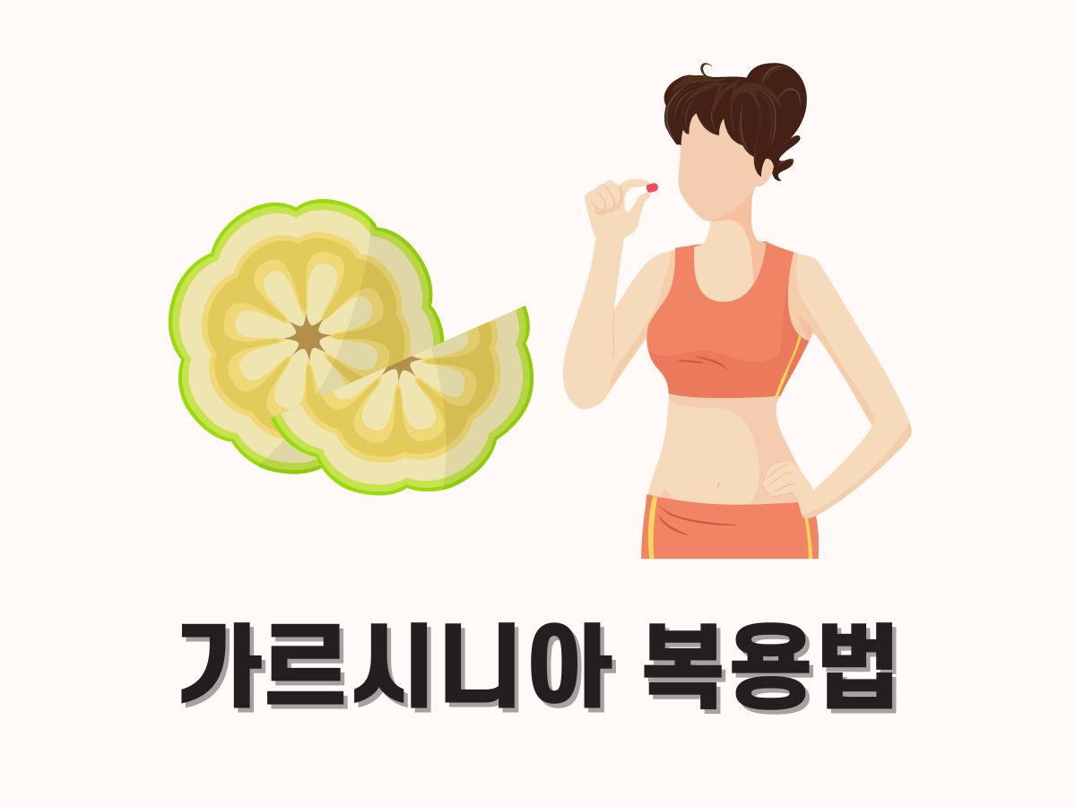 가르시니아 캄보지아 복용법