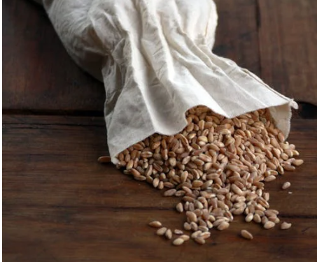 위에 좋은 음식 10