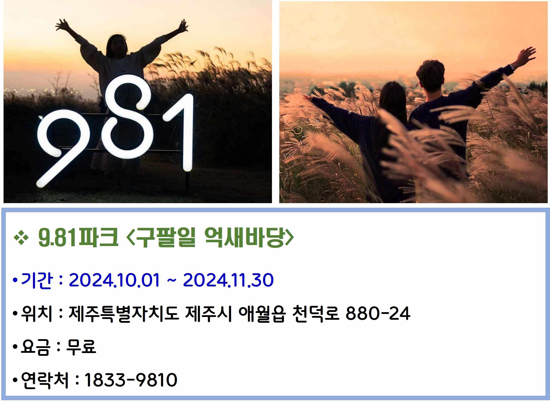 9.81파크 &lt;구팔일 억새바당&gt;