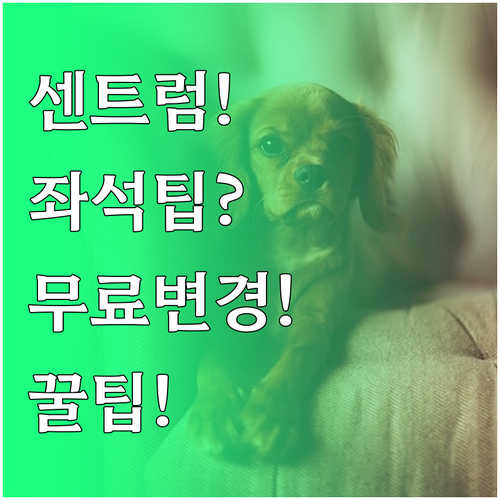 센트럼항공 좌석 변경 절차와 무료로 ..