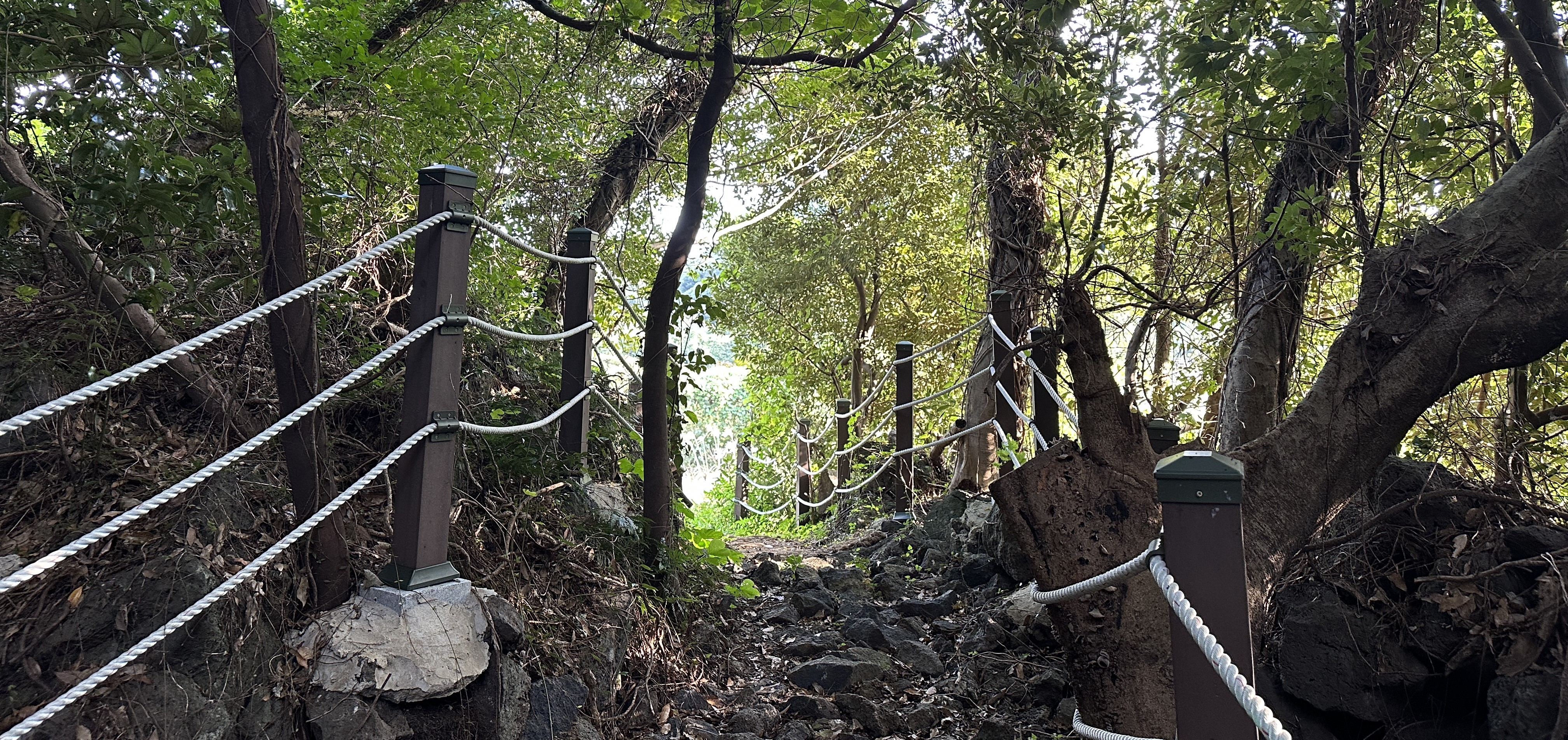 송당곶자왈 산책로