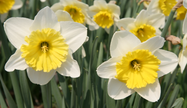 신구대학교 수목원
