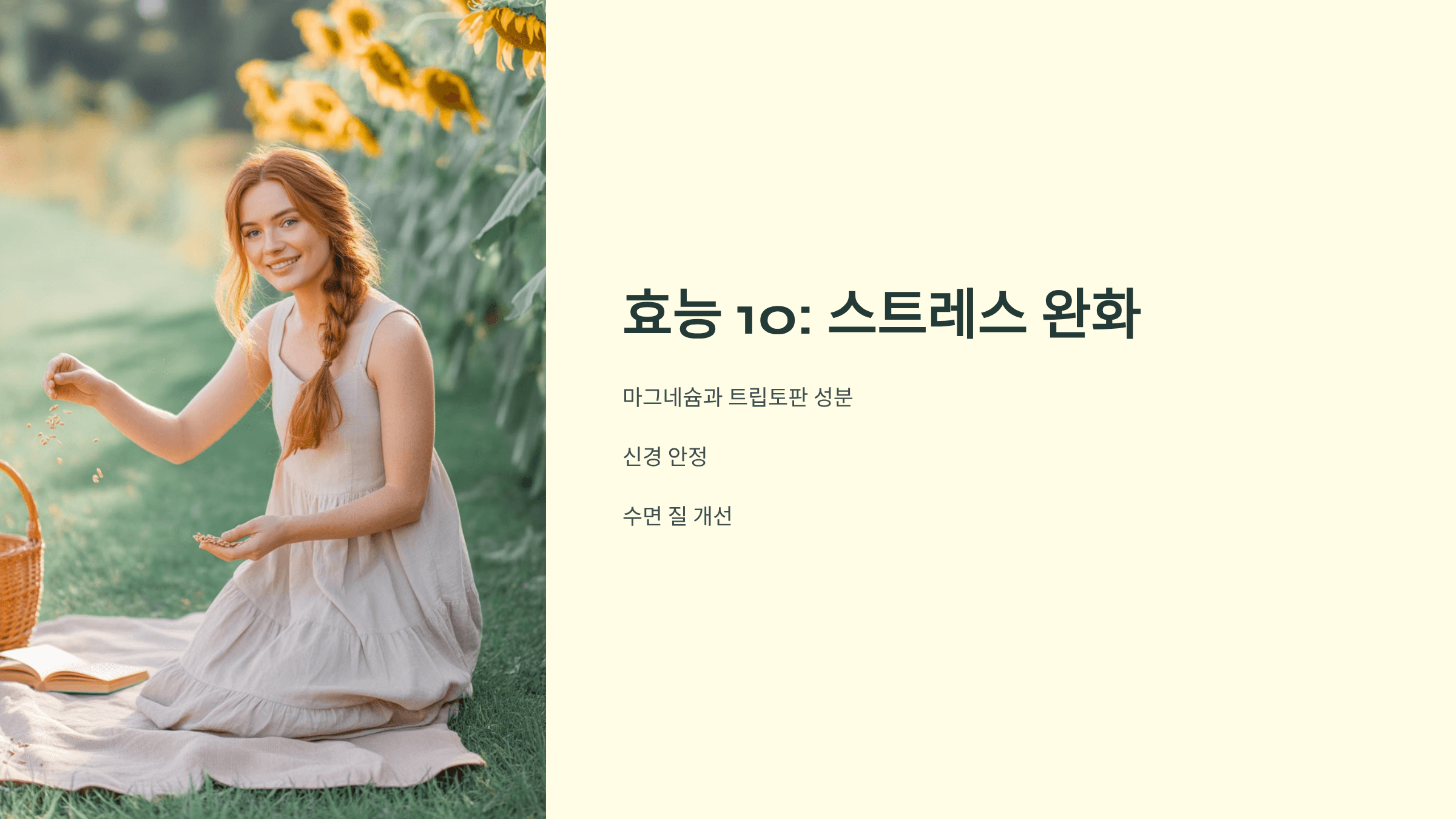 해바라기씨 사진입니다.